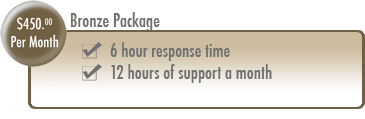 Bronze Package - 6 hour response time, 10 hours of support a month