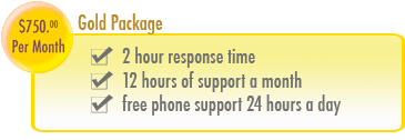 Gold Package - 2 hour response time, 12 hours of support a month, free phone support 24 hours a day, 7 days a week
