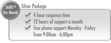 Silver Package - 4 hour response time, 12 hours of support a month, free phone support Monday - Friday, 9:00am till 6:00pm